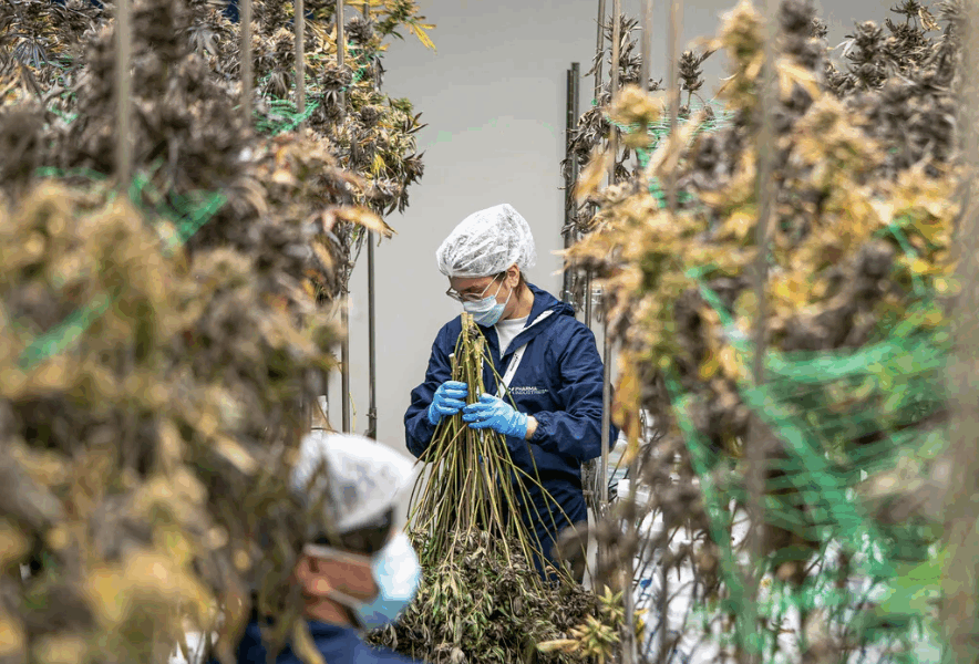 Screenshot 2025 12 18 at 9.15.20 AM