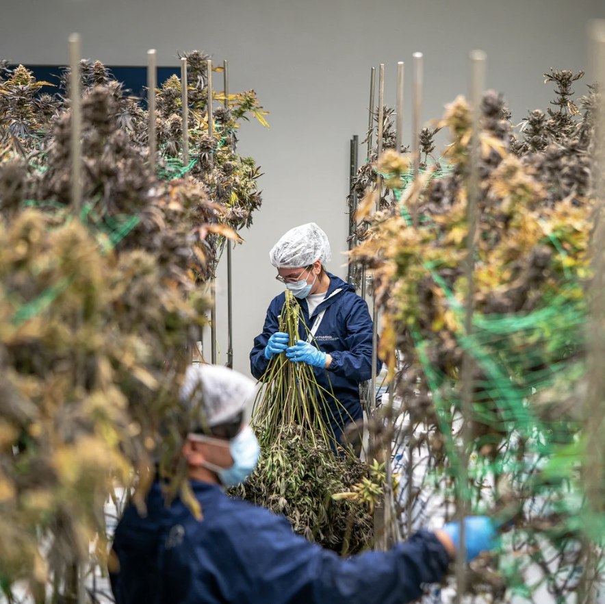 Screenshot 2025 12 18 at 9.15.20 AM