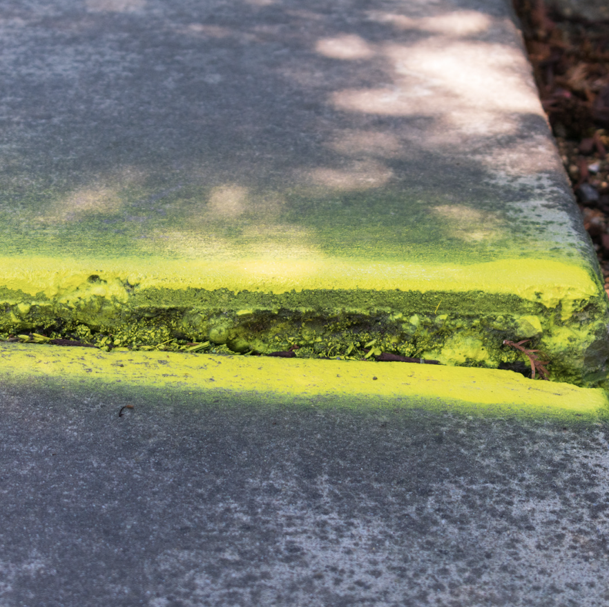 Screenshot 2026 02 09 at 1.26.13 PM